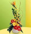 The FTD� Tropical Bright � Arrangement