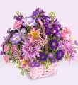 The FTD� Color Harmony� Bouquet