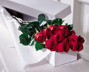 The FTD? One Dozen Boxed Roses