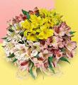 Hand Tied Alstroemeria - Mixed Colors, w/ greens