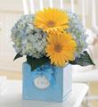 The FTD� Sweet Dreams Boy� Bouquet